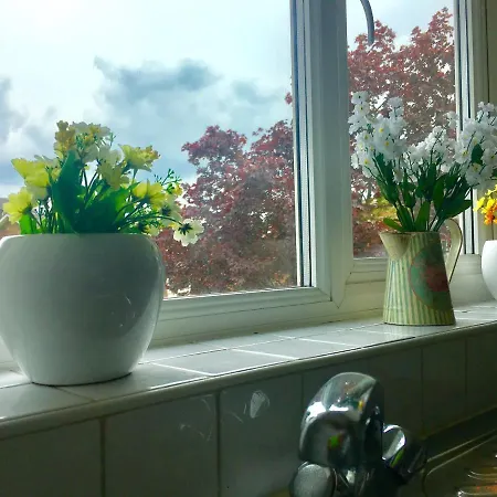 Apple Perch 2Br Flat - Free Parking Appartement Oxford Buitenkant foto